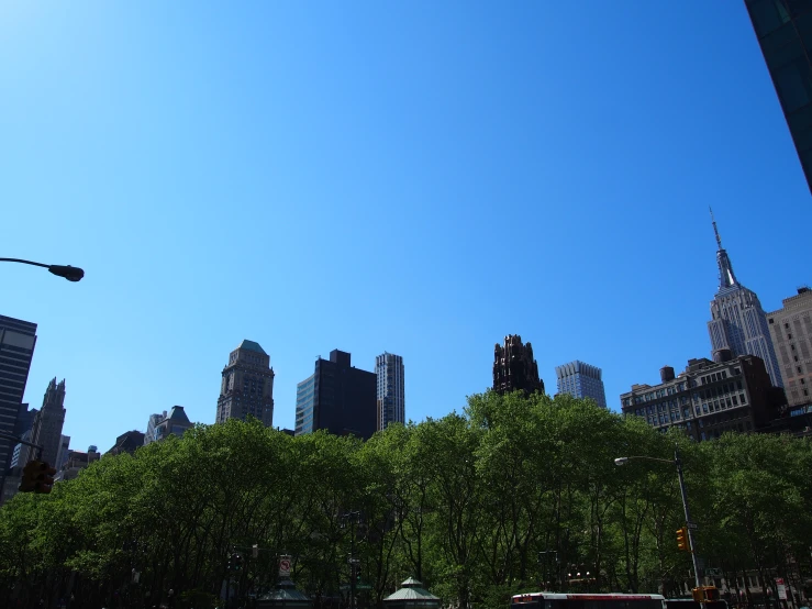 a green area with large city buildings on the other side