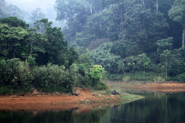 a body of water surrounded by trees and a hill