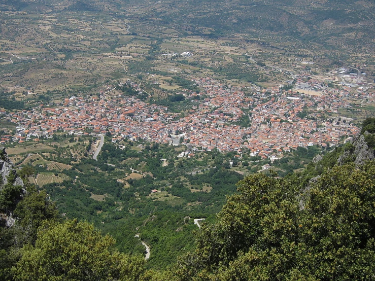 a view of a village from above with trees and grass