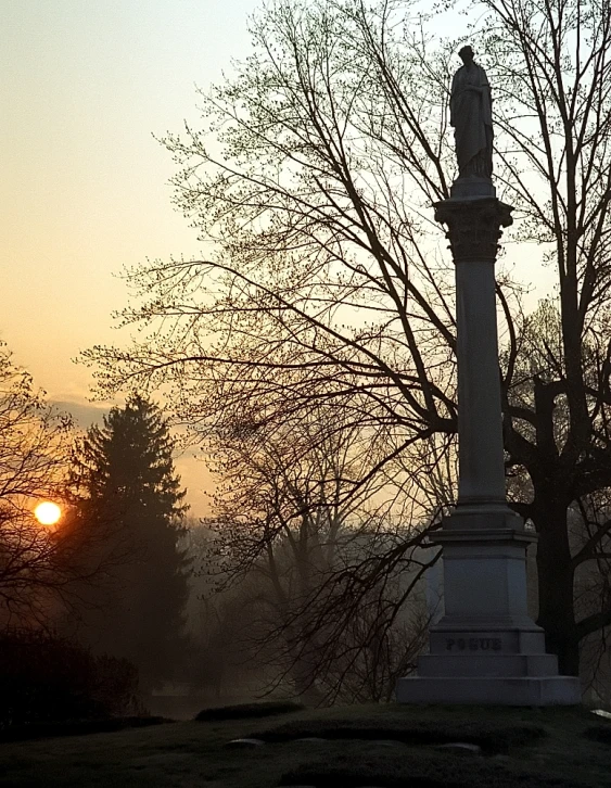 a statue and trees with the sun setting