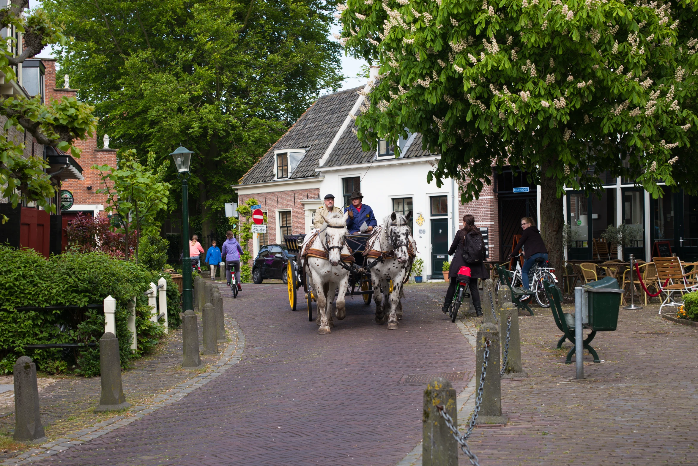 horses are walking down the road in a village