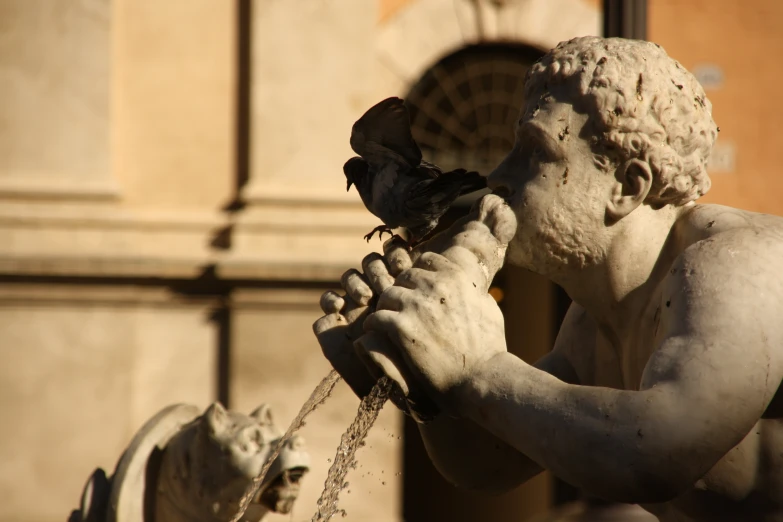 a close up of a statue with birds