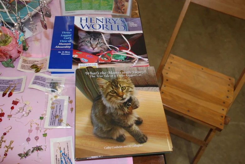 there is a magazine with a cat on it next to a wooden chair