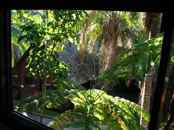 a view out of a window of an outdoor garden