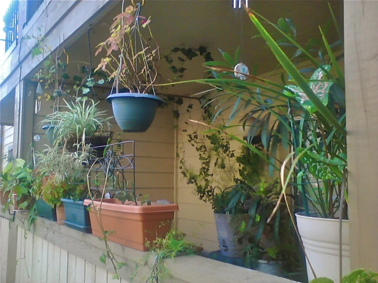 a row of various colored flower pots on a balcony