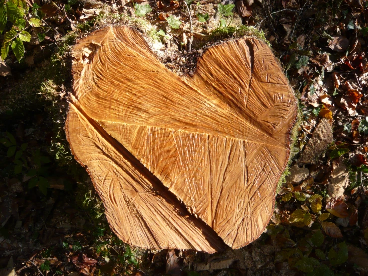 there is a carved wooden heart on the ground