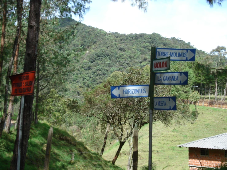 several signs on poles near trees in front of mountains