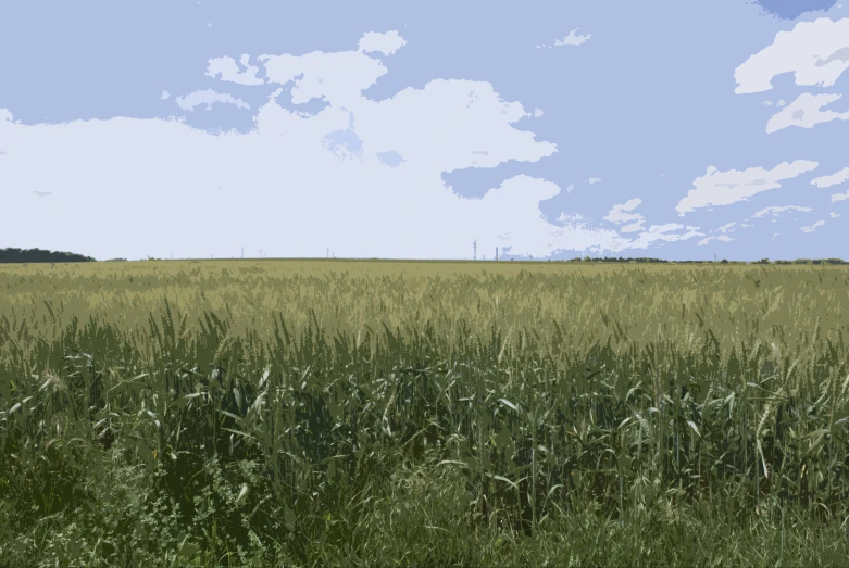 a blue sky over a green field