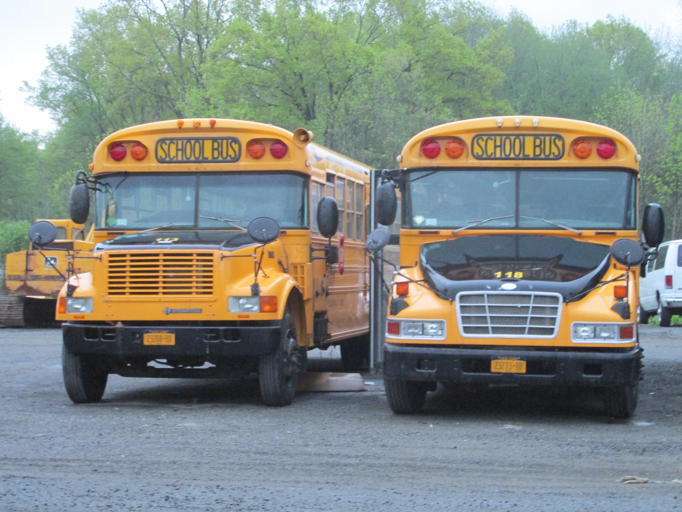 two school buses parked in a lot with trees behind them