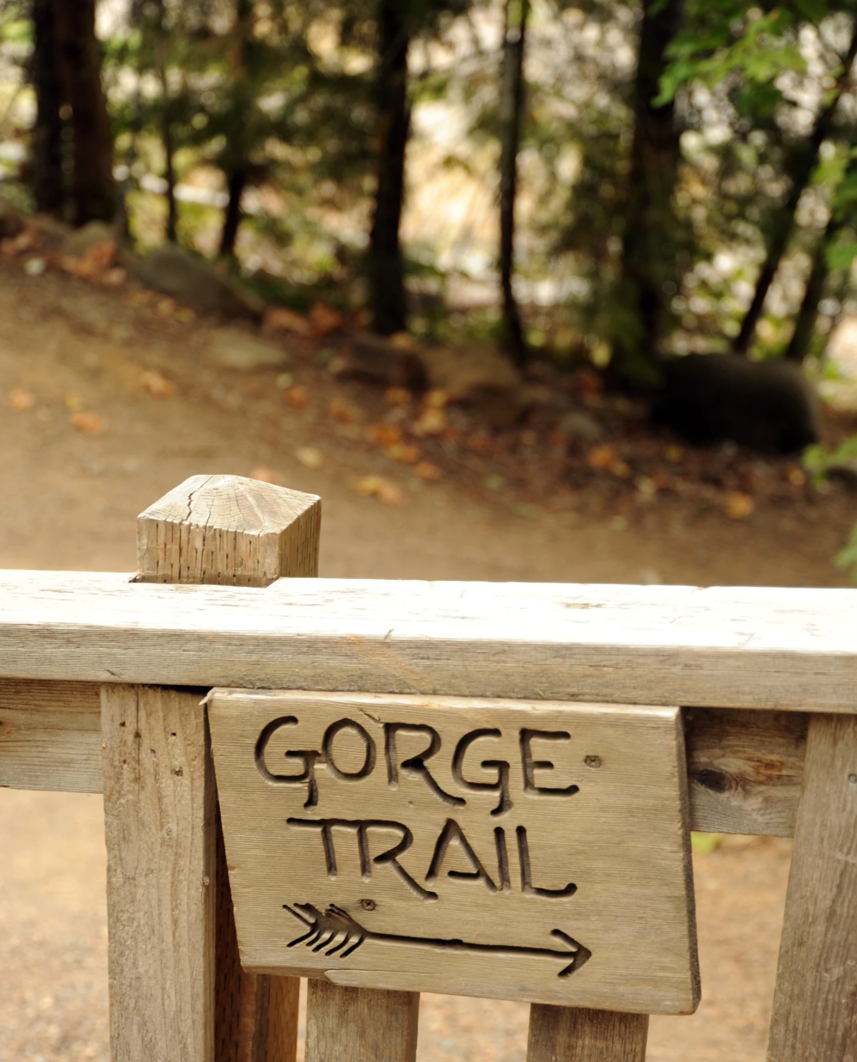 sign that says gorge trail with arrows and arrows