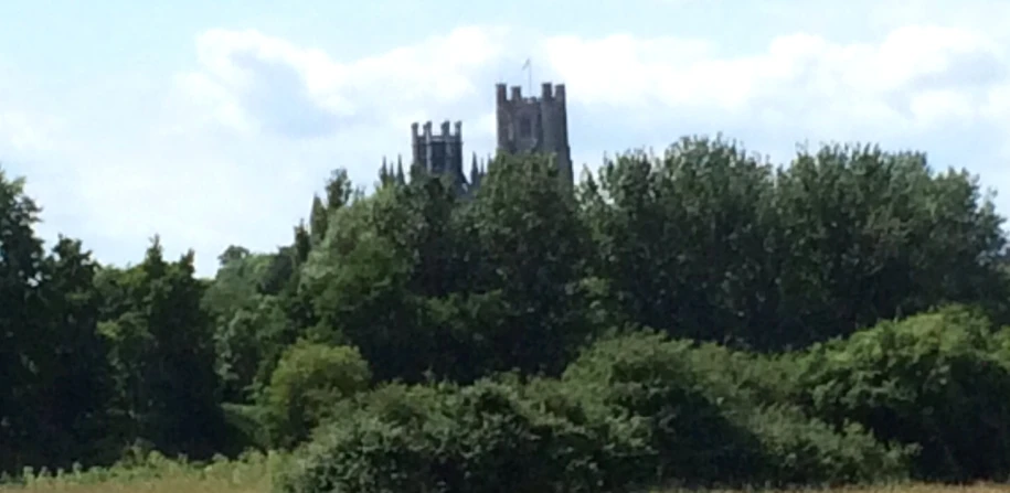 a large building sitting over some trees in a field