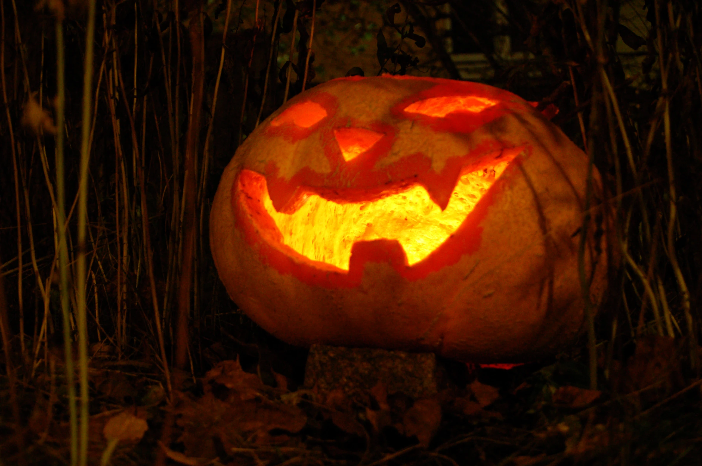 a pumpkin shaped like a jack o lantern sitting in the woods