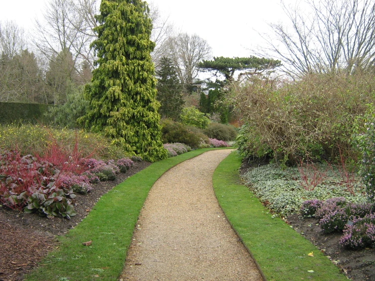 a path in a garden that is covered with green plants