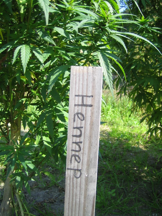 a sign that is written in black on a pole