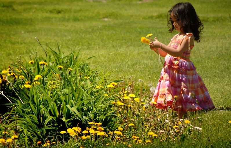 the little girl stands in the grass near some flowers