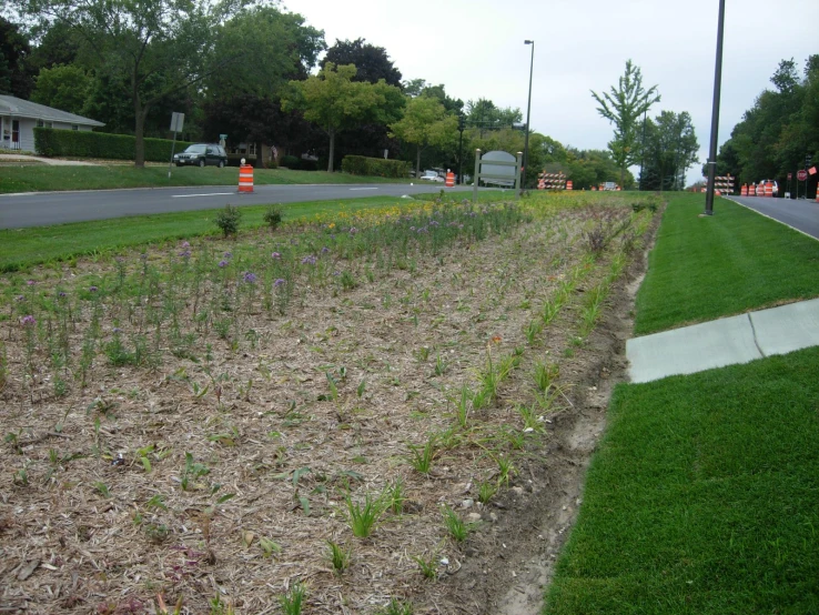 a small yard next to a street is being worked on