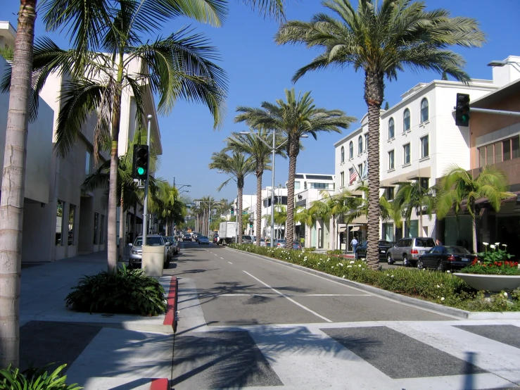 a quiet city street with palm trees, buildings, and parked cars