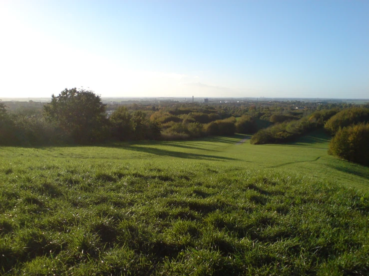 a grassy field with a hill in the background