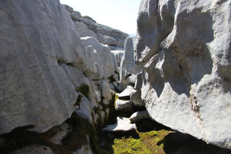 the rocks have moss growing on them