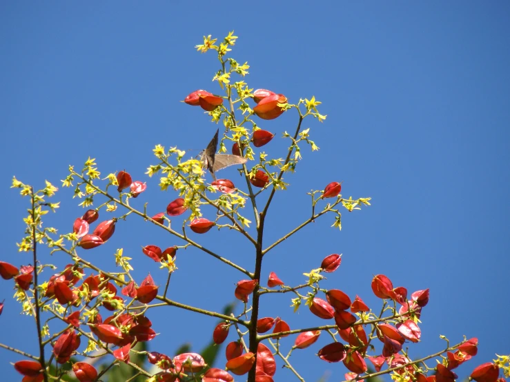 the bottom of a bush with a bird sitting on it