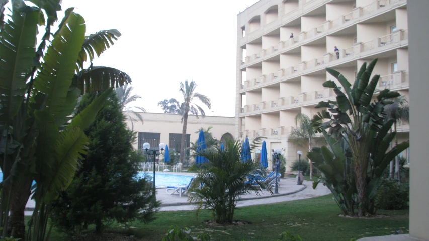 a el complex has a pool and outdoor landscaping area