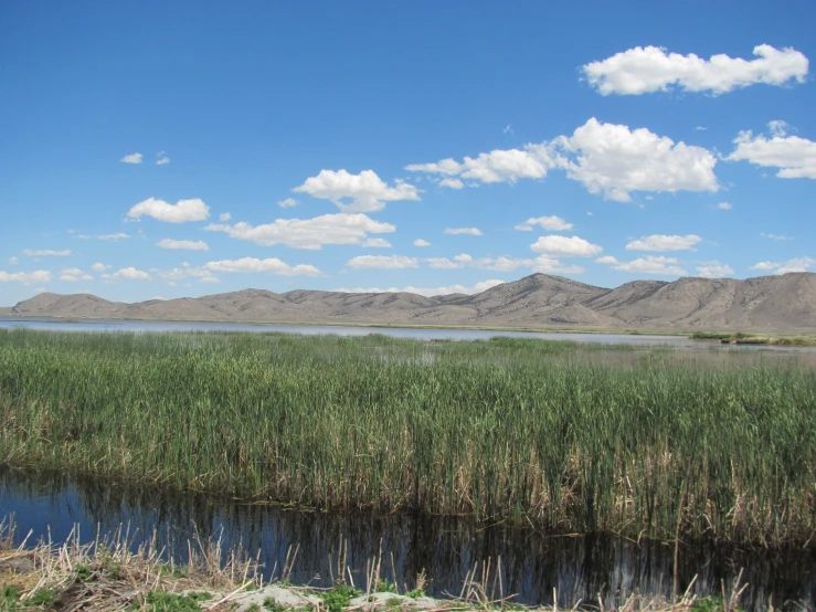 an area of grass, water, and mountains are seen