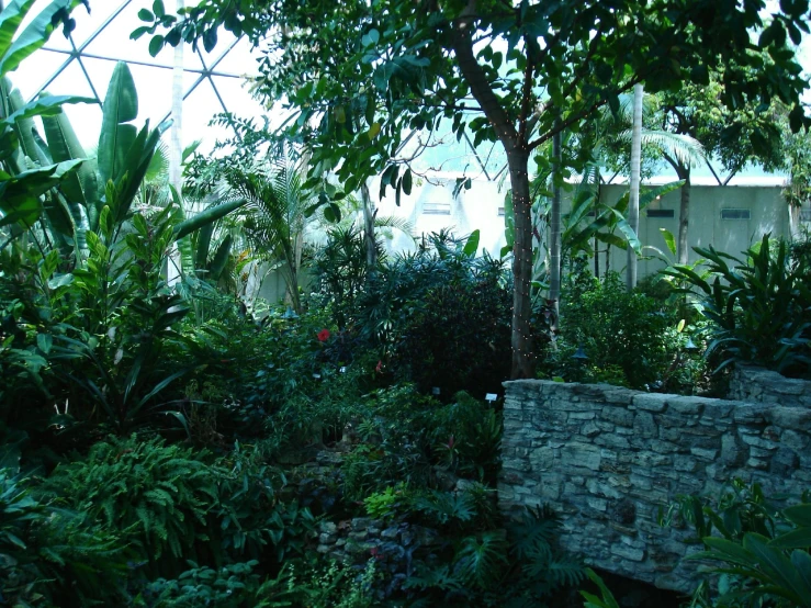 several trees and shrubs next to rocks, a brick wall and some water