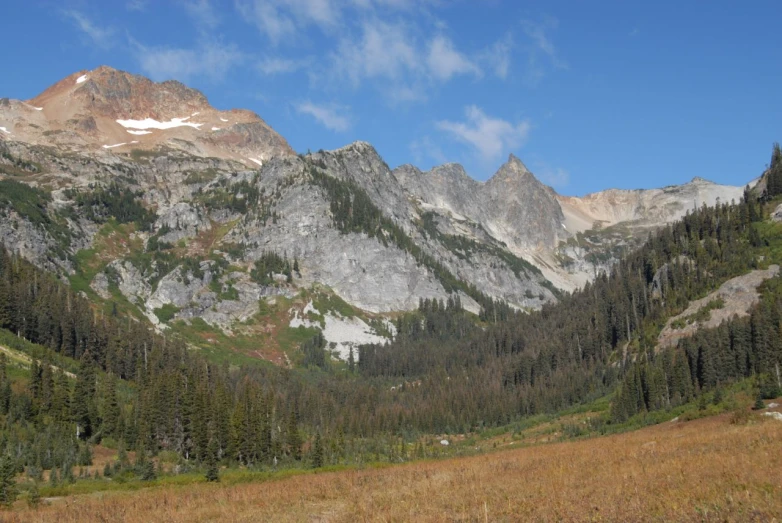 there is a very tall mountain with trees around it