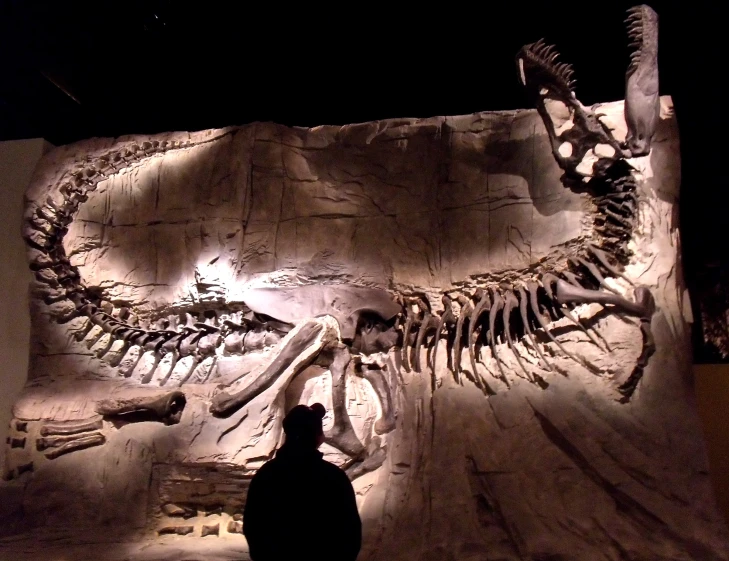 man standing in front of a large skeleton in the dark