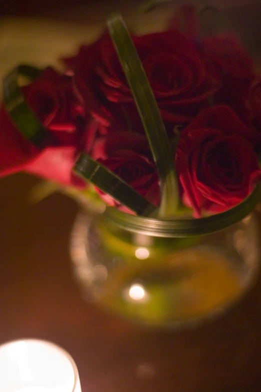 a close up of some flowers in a vase near a candle