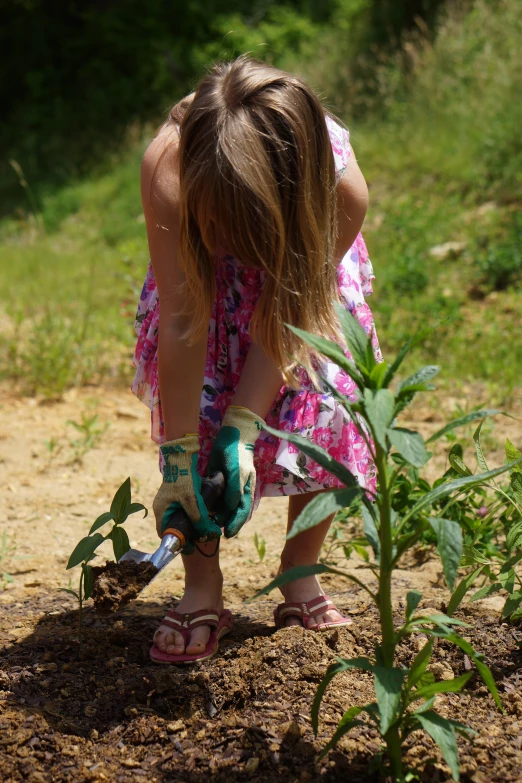a little girl planting a plant in the dirt