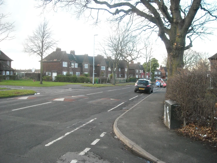 a tree is standing on a corner street