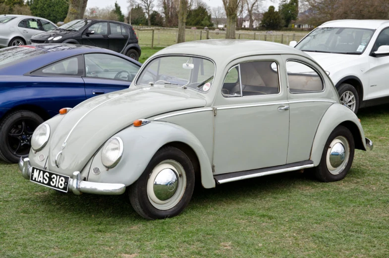 some grey volkswagen cars are parked on some grass