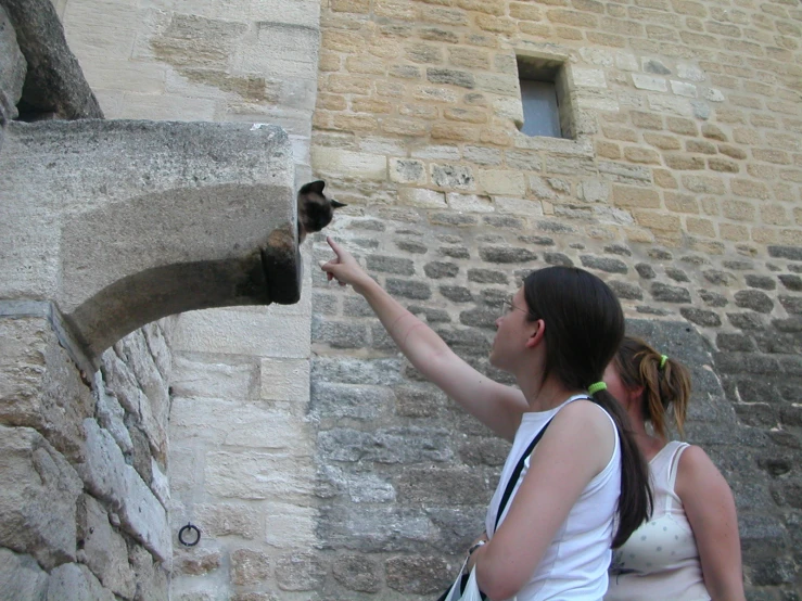 a woman is feeding a cat outside of a building