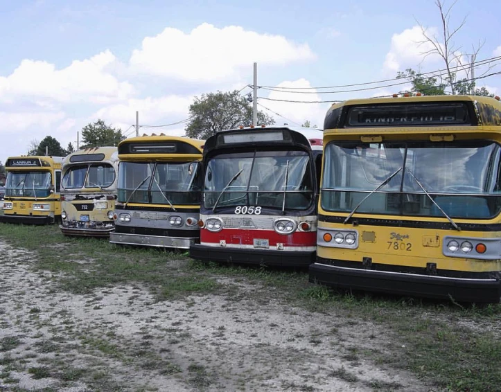 a line up of old buses parked in the dirt