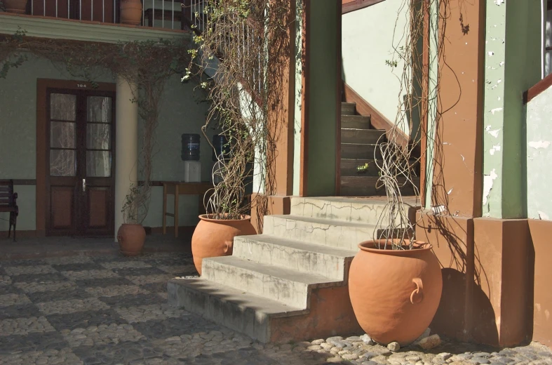 an outdoor stairs with flowers planted on each one