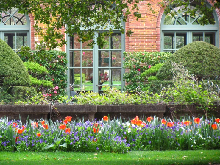 flowers in the foreground, flowers on the back of it, surrounded by bushes and a brick building