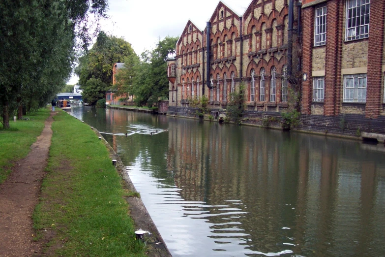 a line of buildings sit along the river bank