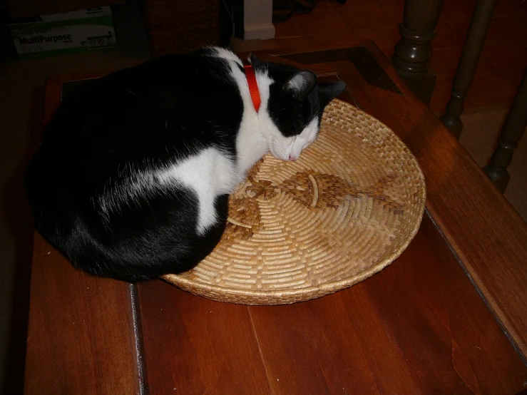 a cat sitting in a bamboo bowl with its head resting on the ground