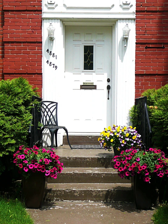 flowers are planted on the side steps of a building