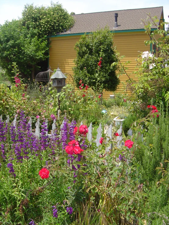 a garden with pink and purple flowers beside a fence