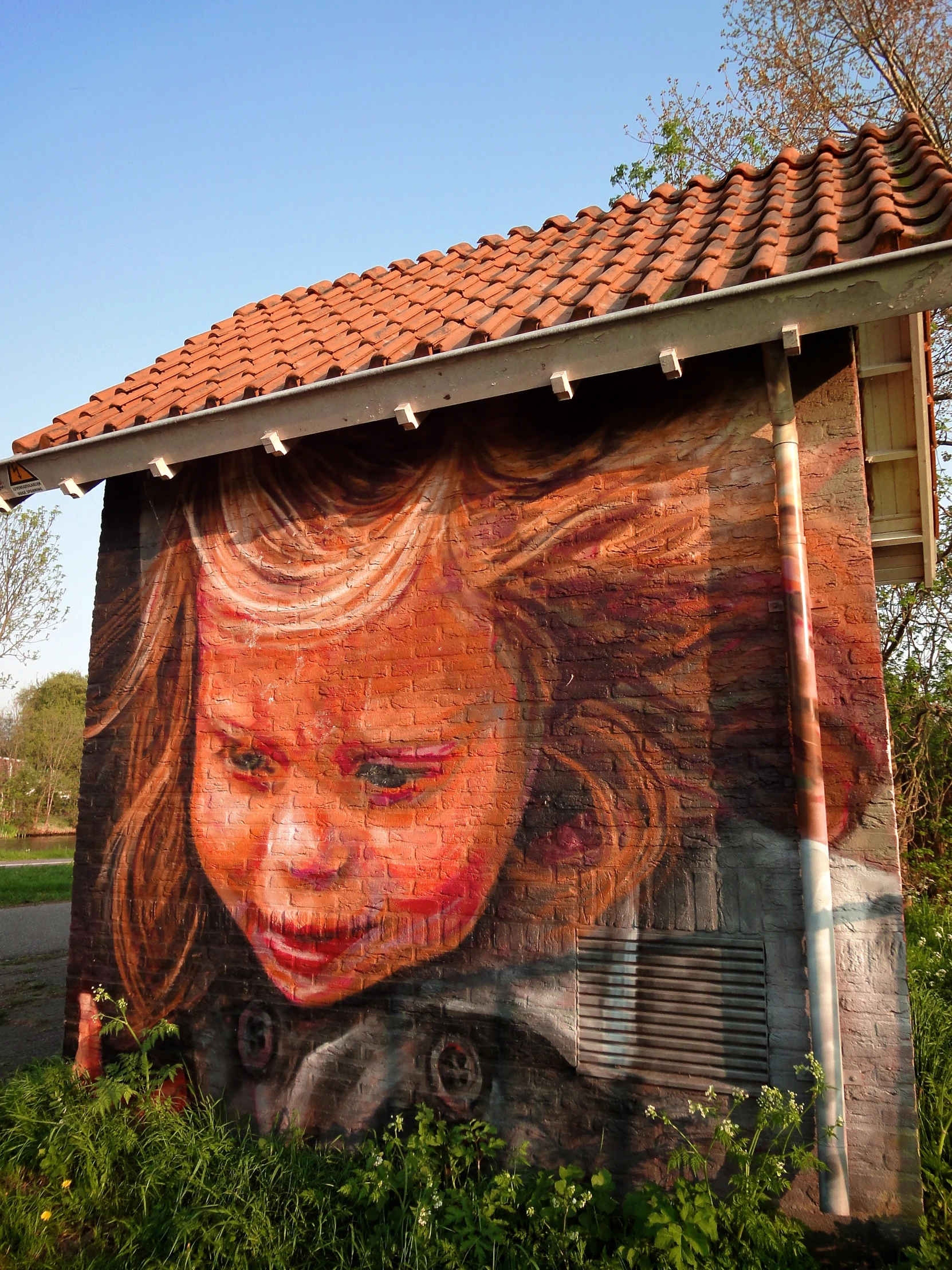 a painting is placed on the side of a building