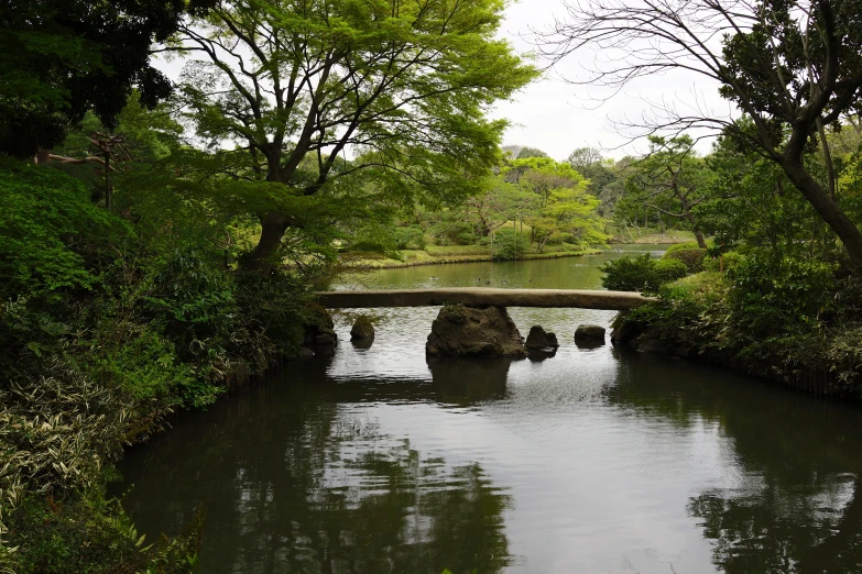 a bridge and several boulders in a forest