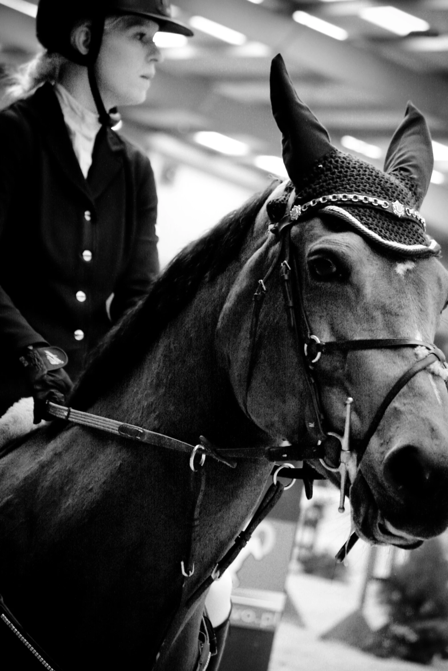 a person riding on the back of a horse