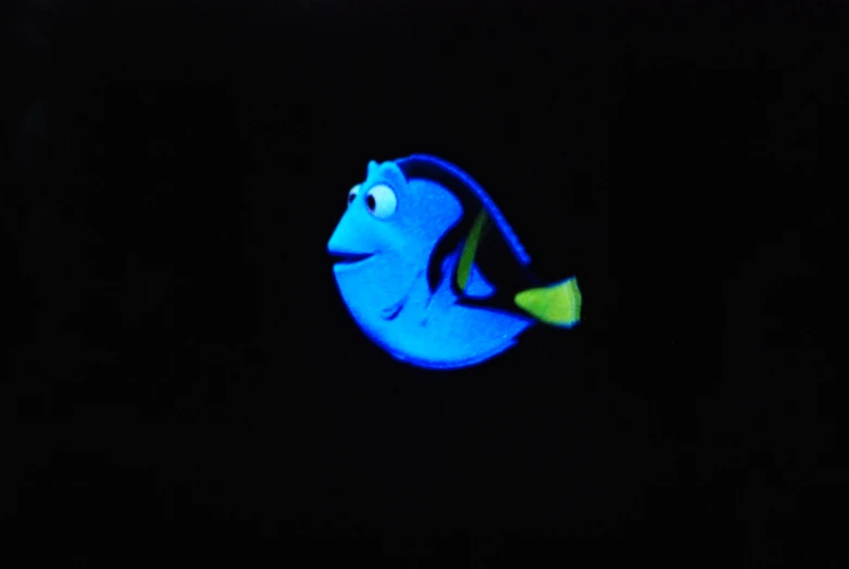a blue fish on a dark black background