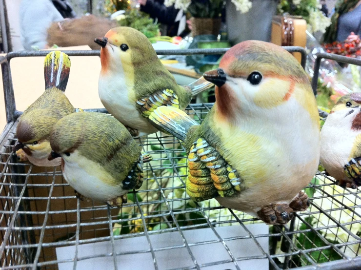 a couple of cute little birds hanging in a wire cage