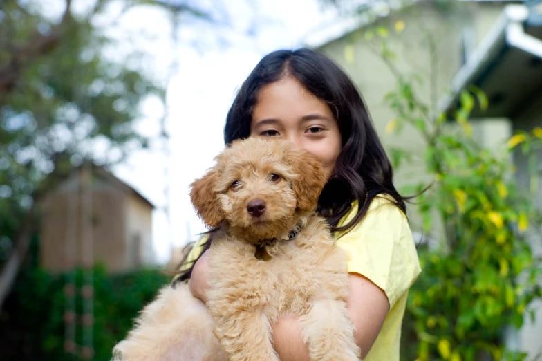 little girl holding brown puppy in her arms outside