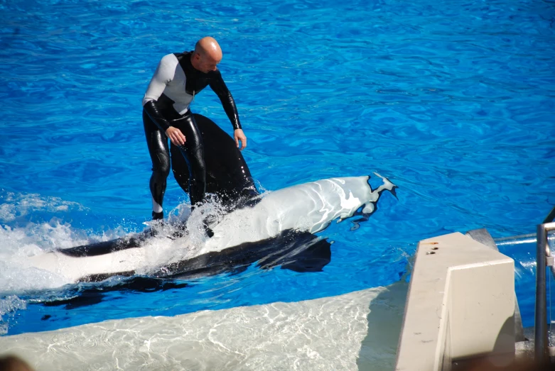 a man riding on the back of a dolphin