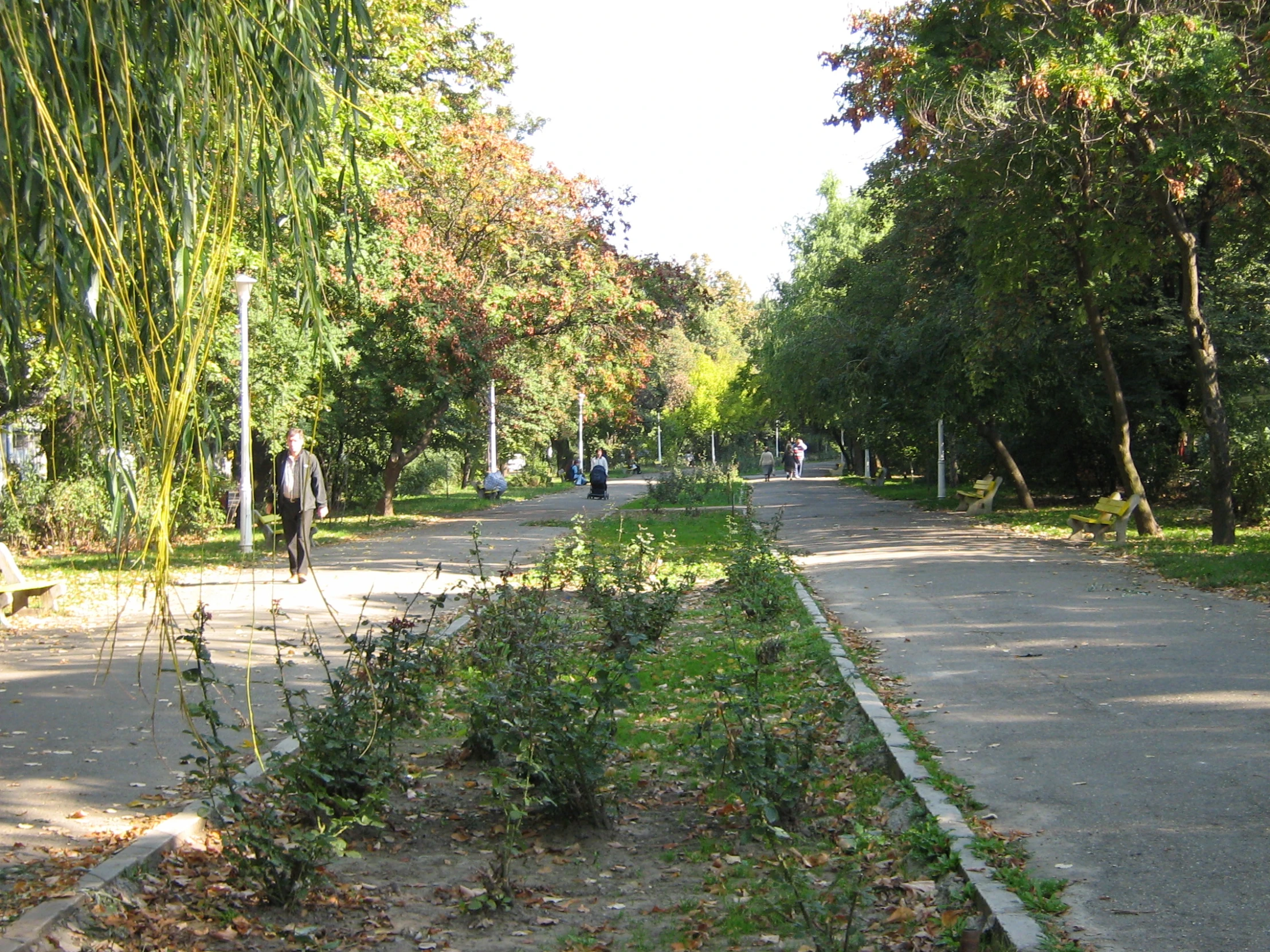 several people on skateboards riding on a street