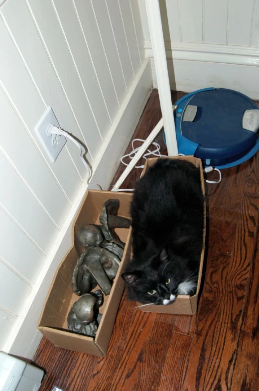 a black cat laying in a box with a blue vacuum